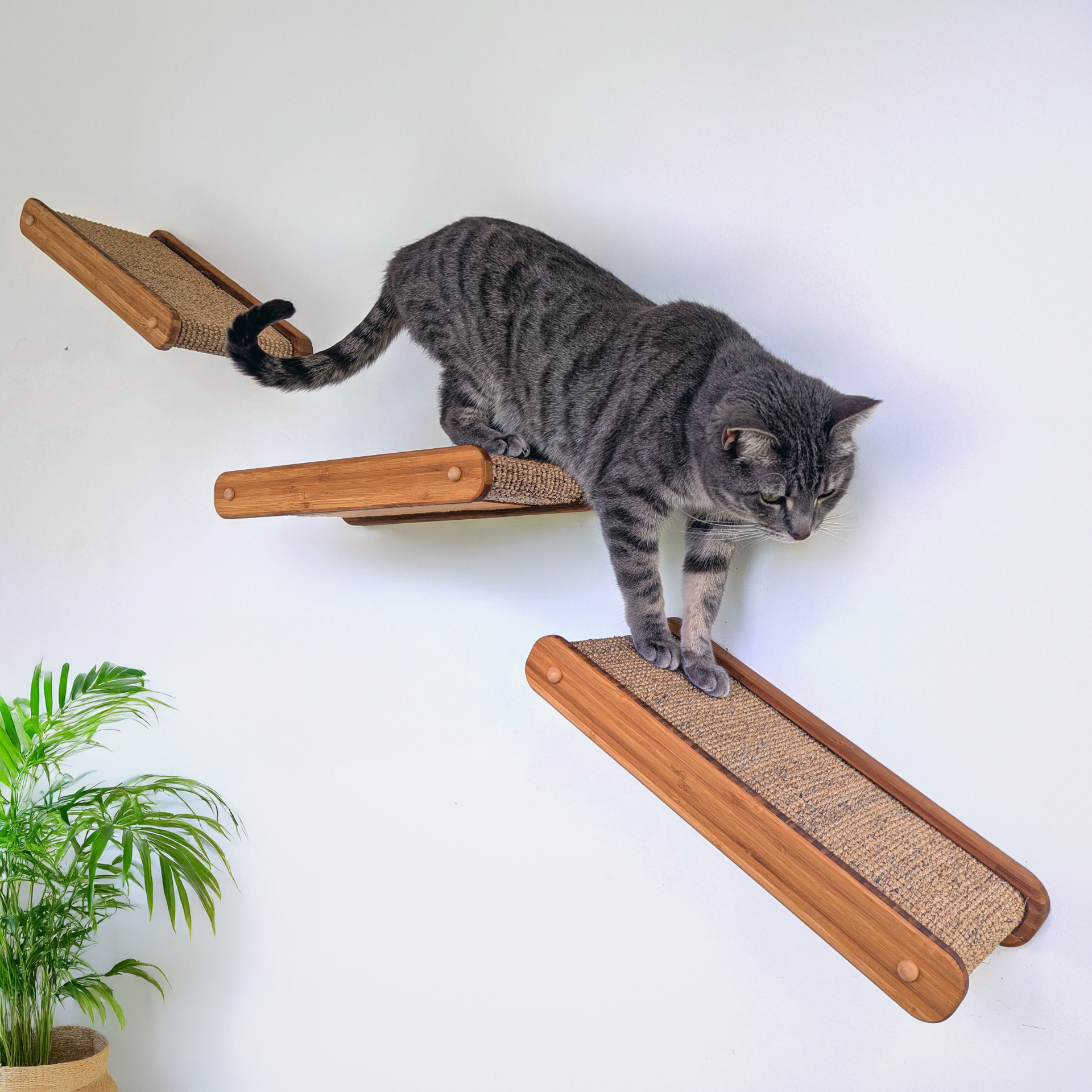 Climber Kit