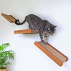 Climber