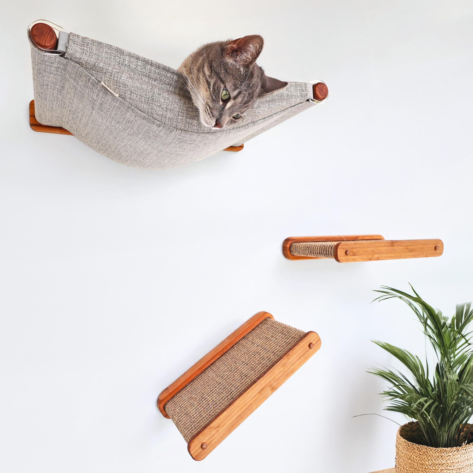 Premium Cat Shelves & Hammocks | Play Series Cat Furniture
