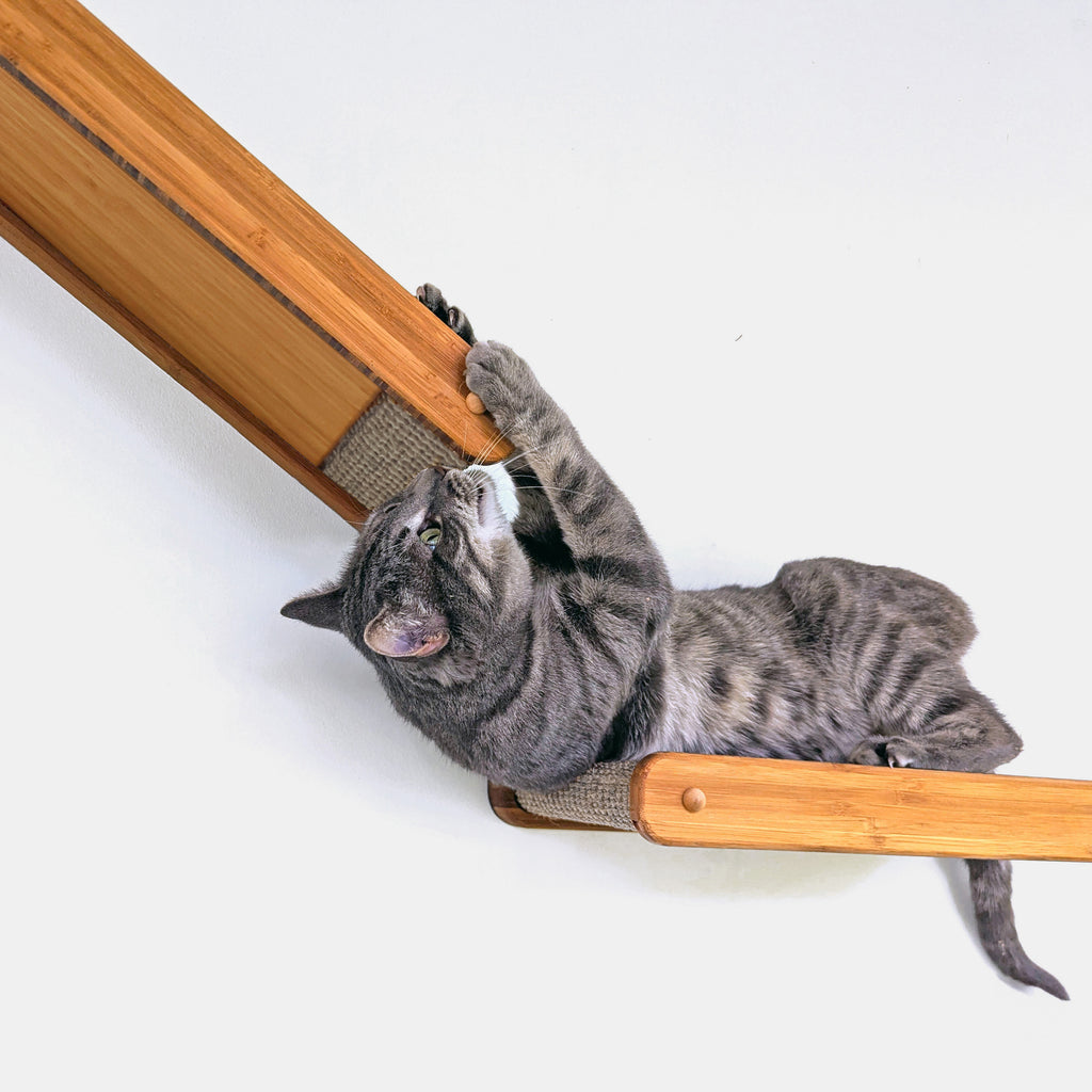 Climber