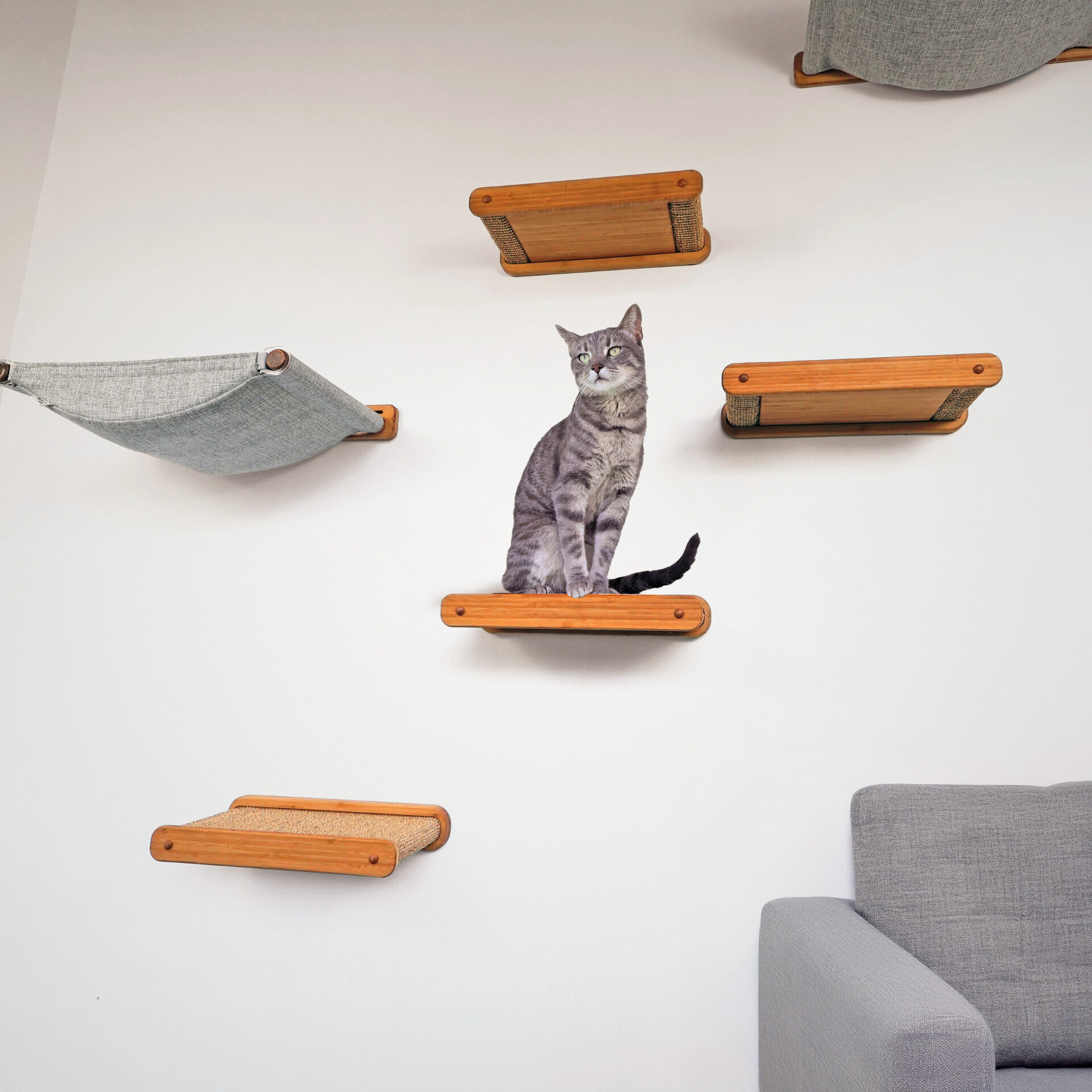 Cat sitting on a wooden shelf attached to a white wall with a gray sofa in the corner.